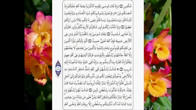 تلاوت سوره ابراهیم با متن و ترجمه صوت فارسی