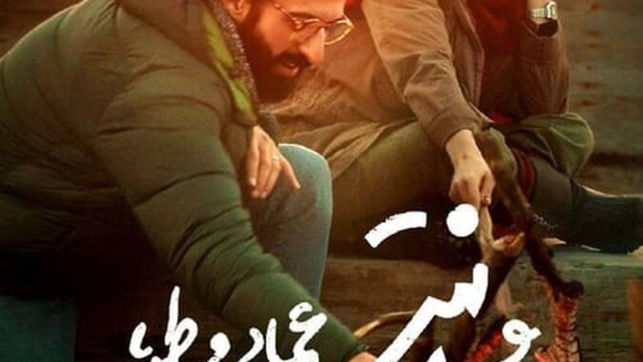 فیلم سینمایی رمانتیسم عماد و طوبا 1398