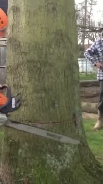 آموزش تکنیکهای اصولی قطع درخت با استفاده از Chainsaw