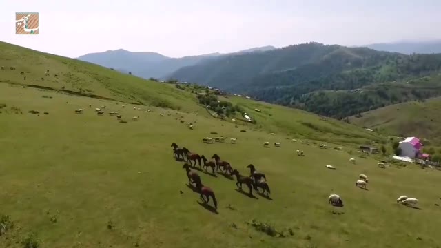 یه کلیپ قدیمی از سفرهای خودم به طبیعت زیبای استان گیلان . Video by :@aminalla.amin & @saeed.saeedkhah . Edit by:@saeed.saeedkhah . @badiyeh.eco