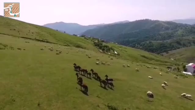 . . برای دیـدن #مناطق #بکر و زیباییهای #ایران با ما همراه شوید... . 😍💚😎🙏🌍🏜️🏖️🏝️ . با ما #همسفر شوید . -------------------------------------------- . . 🎬:@saeed.saeedkhah . . _______________________