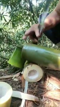 مجموعه ویدیوهای آرامشبخش و لذتبخش Oddly Satisfying از کانال JRV