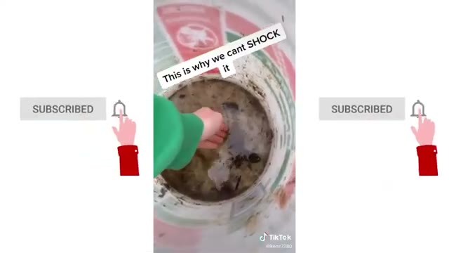 ویدیوهای رضایت‌بخش از تمیز کردن استخر؛ مجموعه‌ای از کلیپ‌های TikTok
