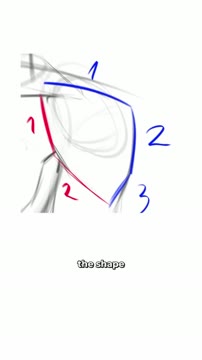 آموزش سریع طراحی آناتومی بدن با استفاده از اشکال هندسی ساده