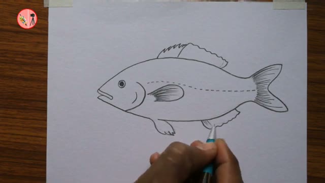آموزش گام‌به‌گام نقاشی ماهی و نام‌گذاری اجزای بدن آن در ۵ دقیقه