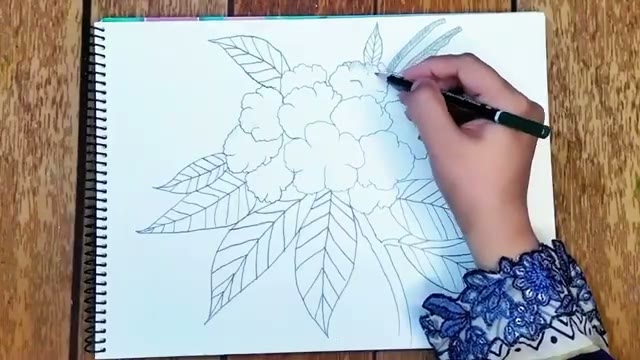 آموزش گام‌به‌گام نقاشی گل لالی گوراس؛ گل ملی نپال با مداد سیاه