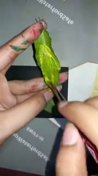 آموزش نقاشی خلاقانه با استفاده از برگ درختان در کانال M Arts Creativity