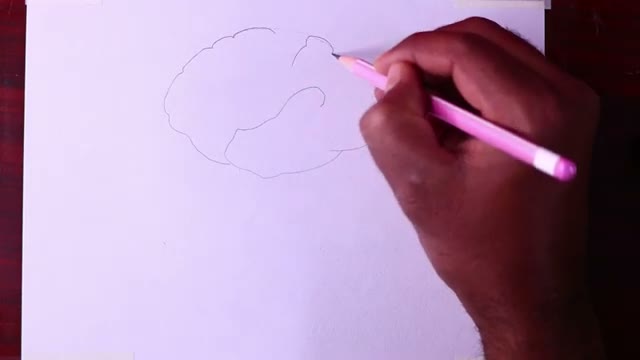 آموزش گامبهگام و ساده رسم نمودار دستگاه عصبی مرکزی (Central Nervous System)