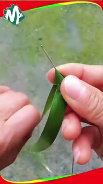 آموزش ساخت لاک‌پشت با برگ نخل؛ کاردستی ساده و خلاقانه در خانه