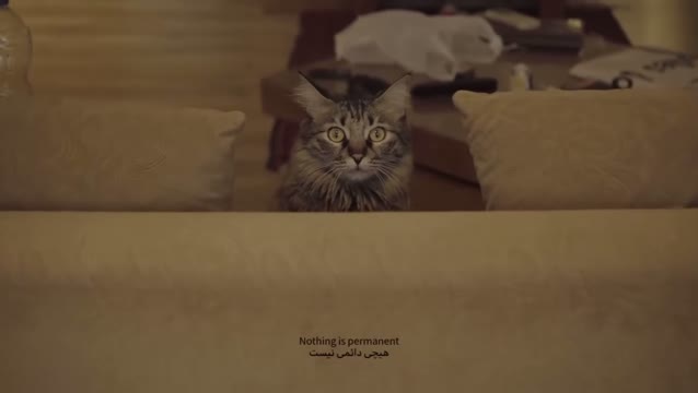 سخت نگیر …
