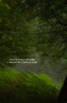 ویدیوی بدون عنوان