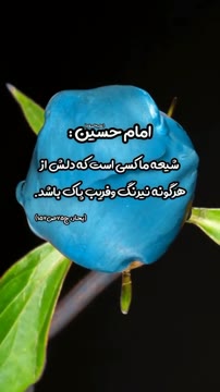 .
اللهم عجل لولیک الفرج 🤲🌏

#خدا#اسلام#دین#امام_رضا#امیرالمومنین#فاطمه#ظهور#نماز#حدیث#رسول_الله #فیلم#آشپزی#لباس#شیرینی#شیعه