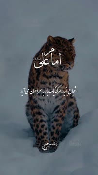 .
.
.
.
.
.
.
.
.
.
.
.
.
#دین #اسلام #قرآن #اهلبیت#لباس#امیرالمومنین#آشپزی#لباس#کتاب#نقاشی#هنر#ناخن#شعر#فلسفه#کتونی#مهسا_امینی#لباسمجلسی#امام_رضا#امام_زمان#امام_حسین