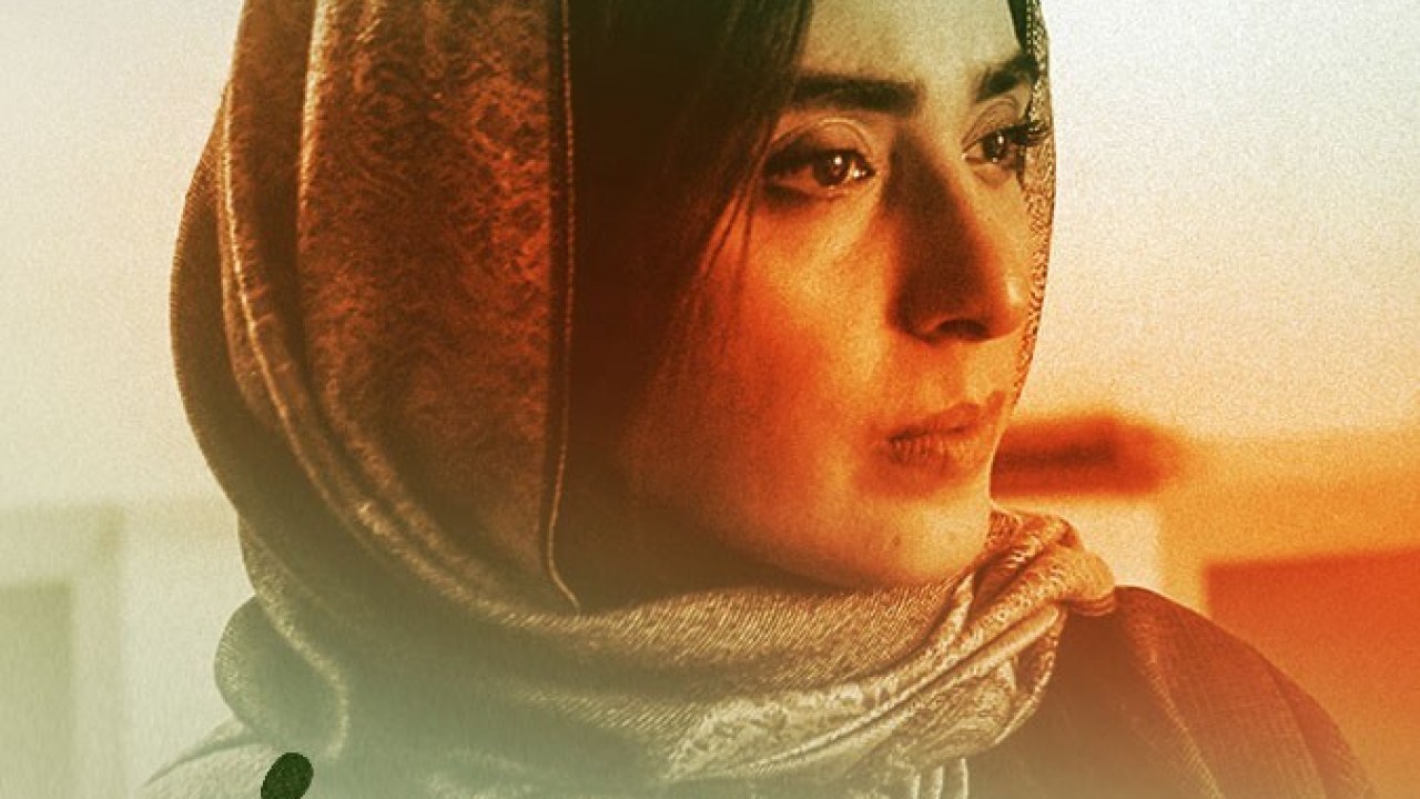 سریال قورباغه فصل 1 قسمت 12