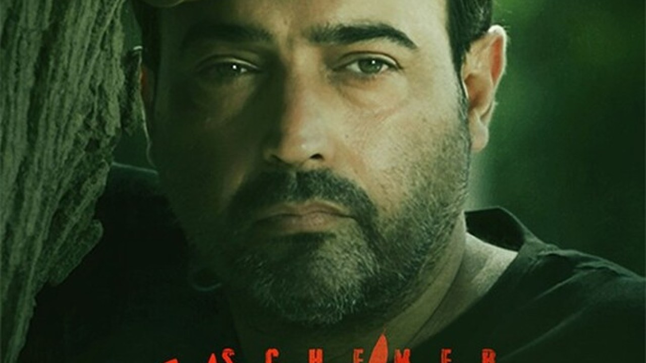 سریال سایه باز فصل 2 قسمت 6
