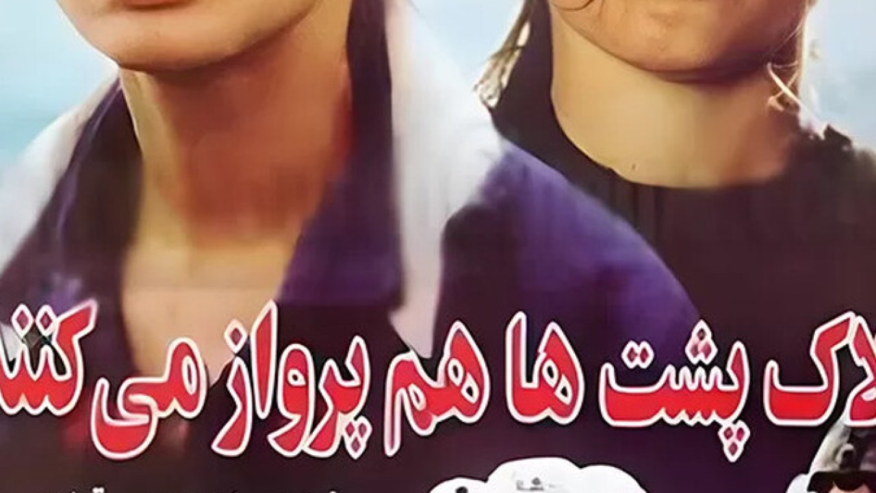 فیلم سینمایی لاک پشت ها پرواز می کنند 1383