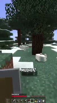 حقایق پنهان و کاربردی درباره اسلات و روباه در بازی Minecraft