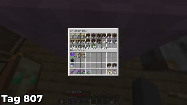 تجربه بقای ۹۰۰ روزه در دنیای هاردکور ماینکرفت (Minecraft Hardcore)