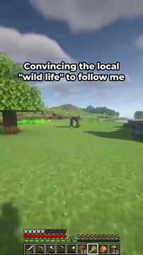 چطور در بازی Minecraft گاوها را به دنبال خودمان بکشانیم؟