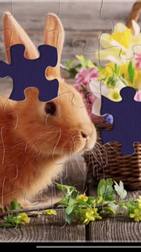 حل پازل جذاب و بامزه خرگوش در بازی Magic puzzle
