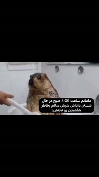 بفرست واسه داداشت🤣
•
تا اینجا اومدی لایک و فالو یادت نره خوشگله.🌝💗

•
خوشحال میشم واسه دوستاتم بفرستی.🫂
•
#داداش#برادر#دوستی#اکسپلور#خواهر#عشق#ادیت#اکسپلور_اومدی_فالوکن#رابطه#میم#میم_فارسی
#family#bro