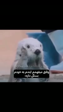 رکب خوردیم کیومرث😔 • تا اینجا اومدی لایک و فالو یادت نره خوشگله.🌝💗 • خوشحال میشم واسه دوستاتم بفرستی.🫂 • #اکسپلور#ادبت#فان#طنز#خنده#شوخی#سرگرمی#آینده#میم#میم_فارسی #Explore#Edite#fun#funny#fucher#mem