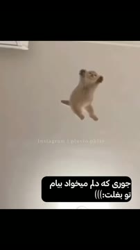 یاد کی افتادی؟! بفرست واسش🫠
•
تا اینجا اومدی لایک و فالو یادت نره خوشگله.🌝💗

•
خوشحال میشم واسه دوستاتم بفرستی.🫂
•
#بغل#دلتنگی#عشق#دوست#اکسپلور#ادیت#پیشی#گربه
#hug#miss#love#friend#Explore#Edite#cat