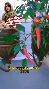 ویدیوی بدون عنوان