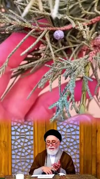 ویدیوی بدون عنوان
